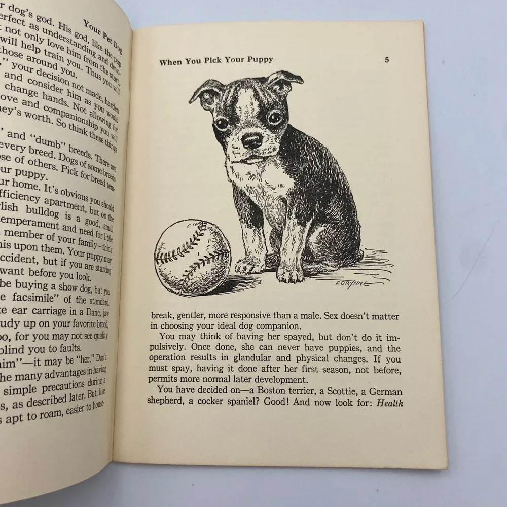 Vintage 1955 Your Pet Dog Gabrielle Forbush All-Pets Books Illustrated Paperback